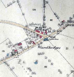 Wardhedges in 1881